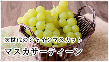 わかば農法いちご あきひめ