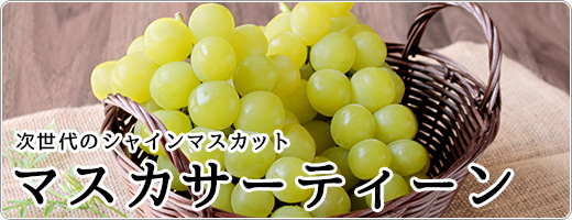 マスカサーティーン